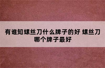 有谁知螺丝刀什么牌子的好 螺丝刀哪个牌子最好